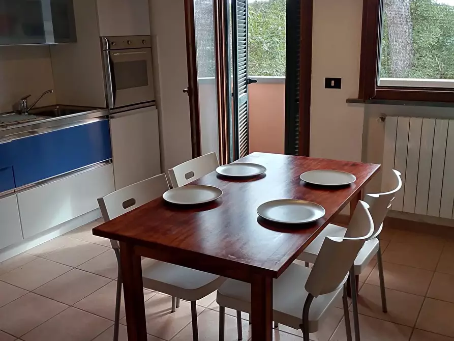 Immagine 4 di Appartamento in affitto  a Rosignano Marittimo