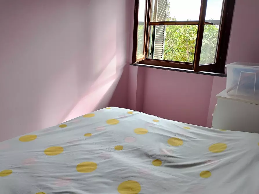 Immagine 13 di Appartamento in affitto  a Rosignano Marittimo