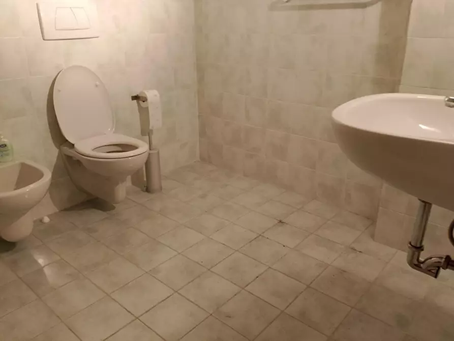 Immagine 23 di Appartamento in affitto  a Rosignano Marittimo