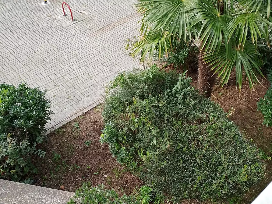 Immagine 26 di Appartamento in affitto  a Rosignano Marittimo