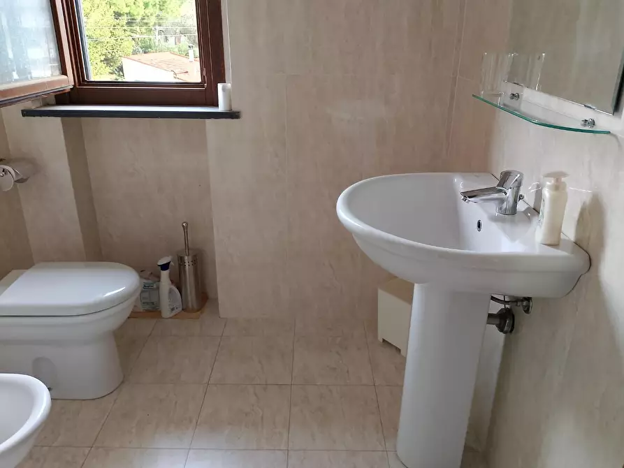 Immagine 17 di Appartamento in affitto  a Rosignano Marittimo