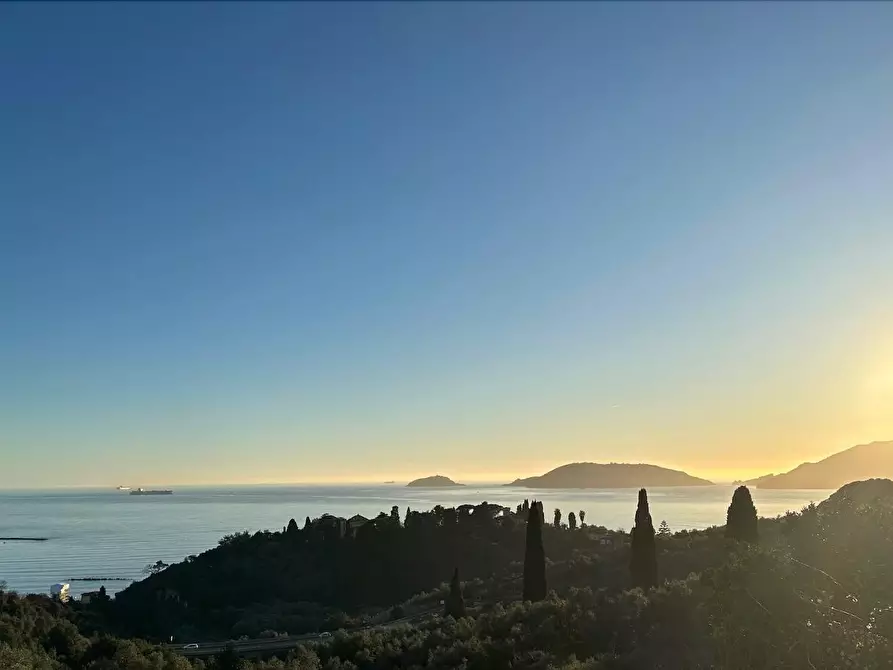 Immagine 22 di Terratetto in vendita  a Lerici