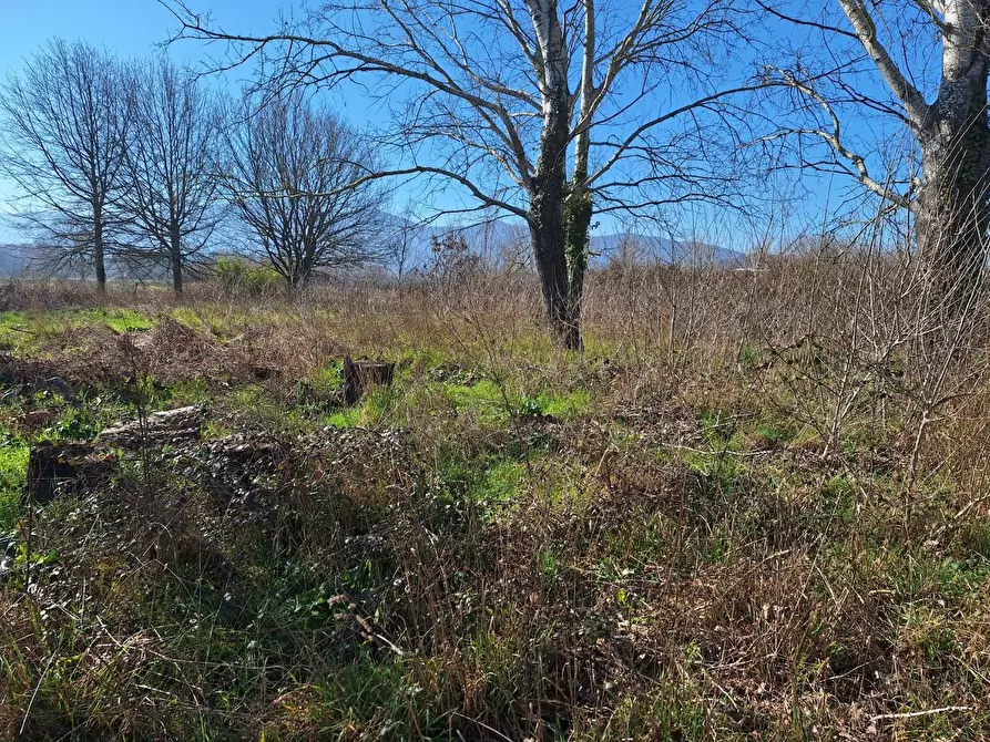 Immagine 23 di Attività artigianale in vendita  a Porcari