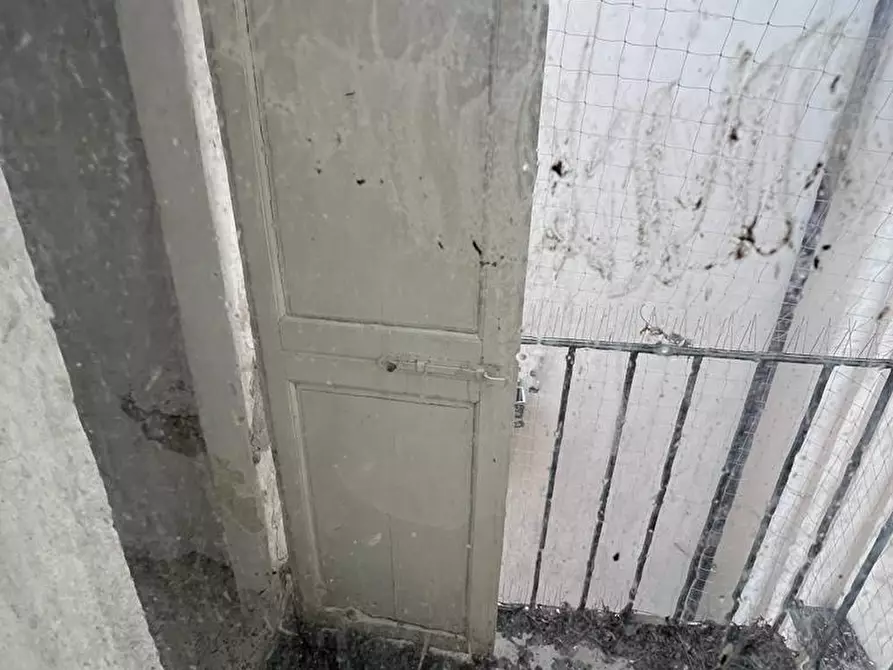 Immagine 24 di Palazzo in vendita  a Pisa