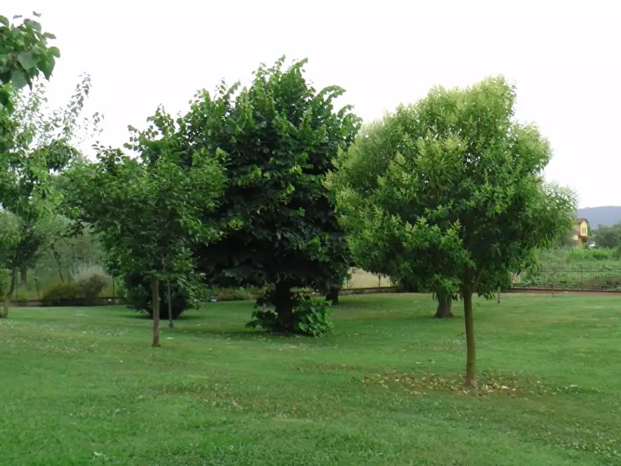 Immagine 32 di Villa in vendita  a Castelnuovo Magra