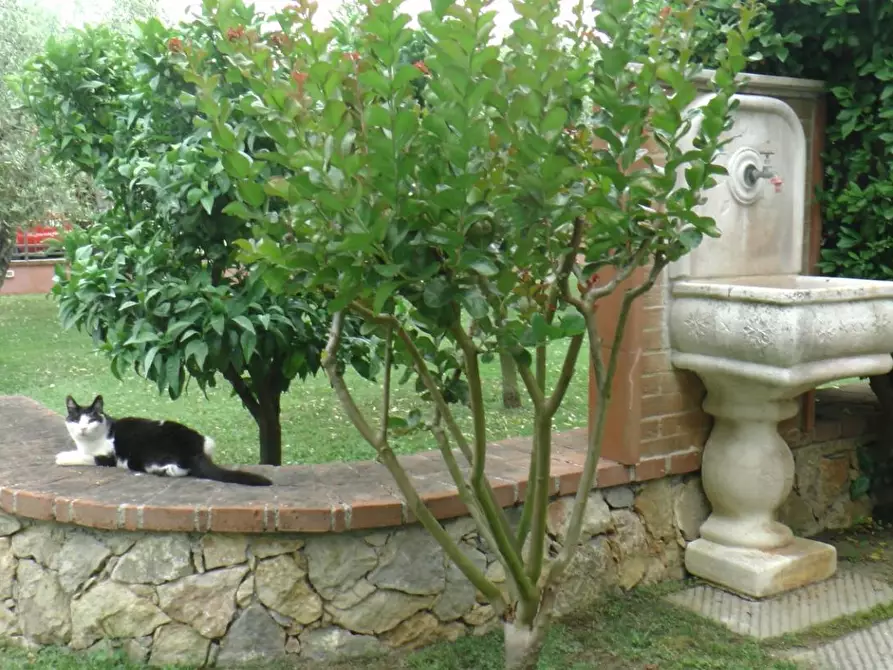 Immagine 23 di Villa in vendita  a Castelnuovo Magra