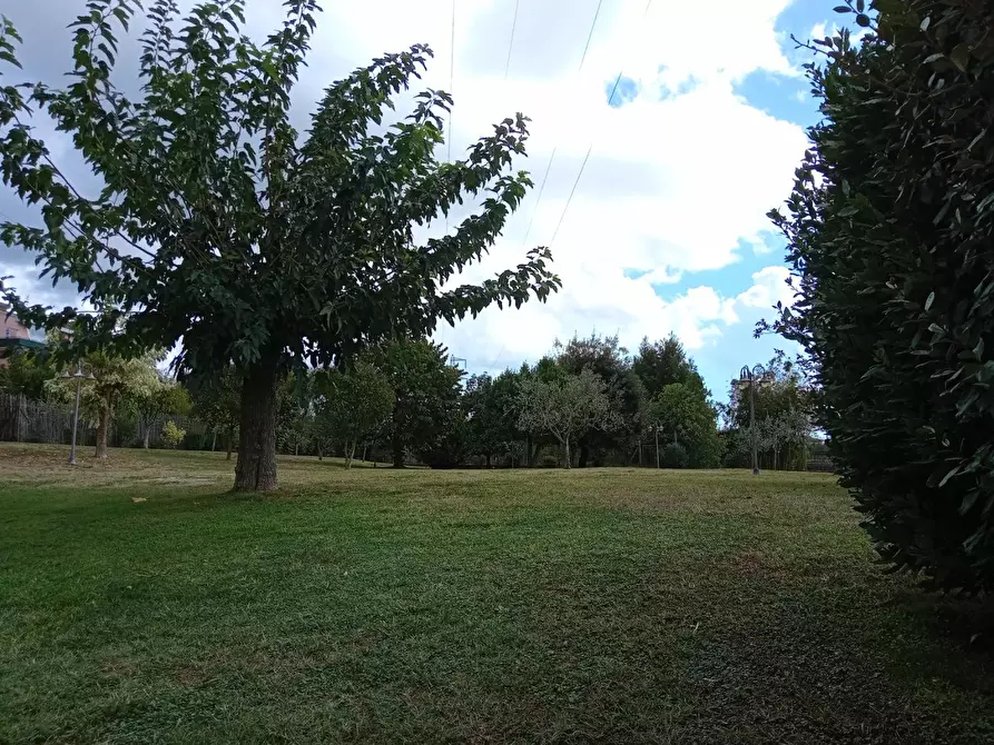 Immagine 10 di Villa in vendita  a Castelnuovo Magra