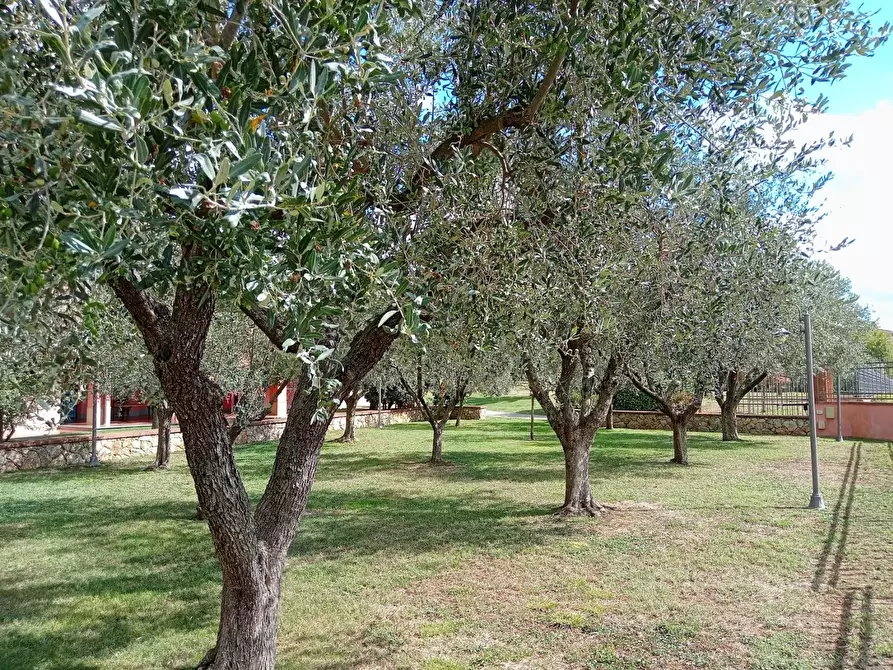 Immagine 15 di Villa in vendita  a Castelnuovo Magra