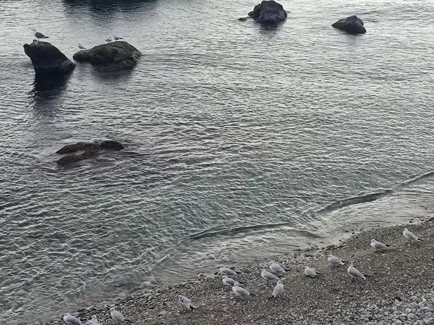 Immagine 65 di Appartamento in vendita  a Giardini-Naxos