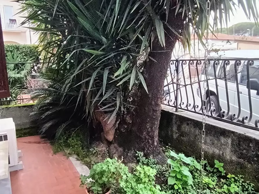 Immagine 18 di Casa bifamiliare in vendita  a Carrara