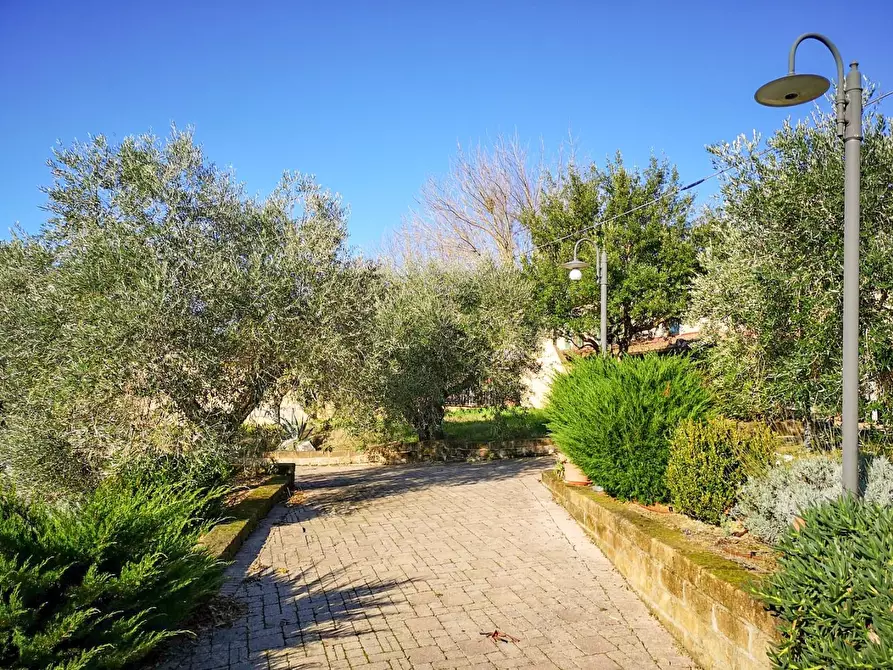 Immagine 5 di Casa colonica in vendita  a Cerreto Guidi