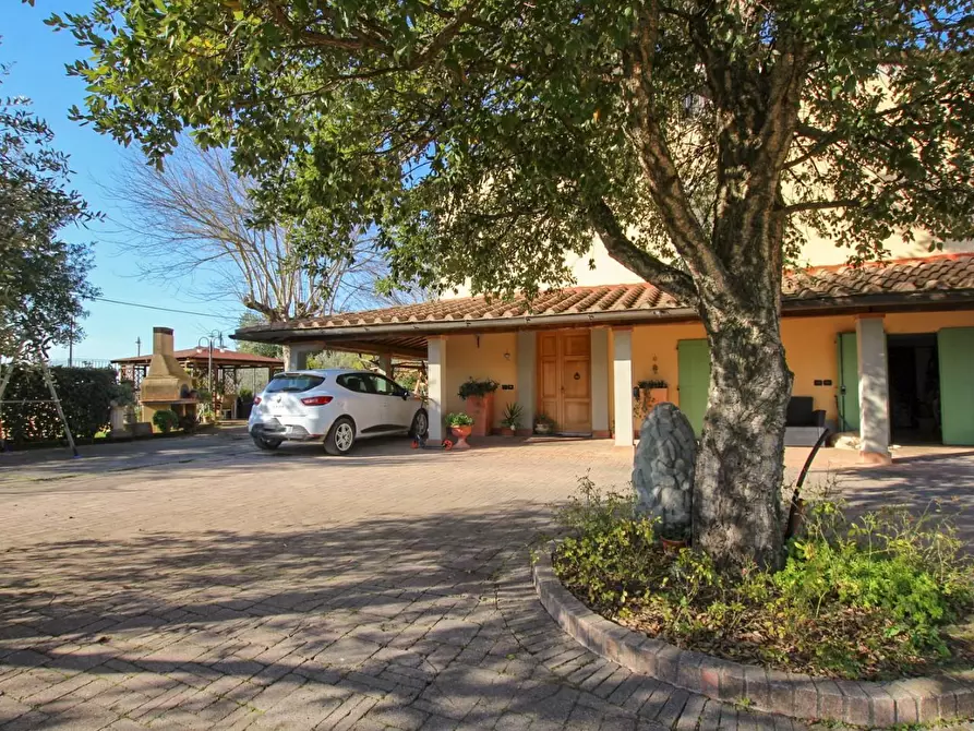 Immagine 42 di Casa colonica in vendita  a Cerreto Guidi