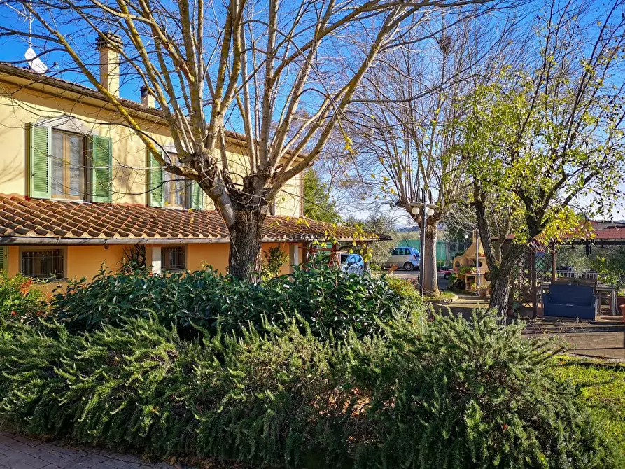 Immagine 7 di Casa colonica in vendita  a Cerreto Guidi