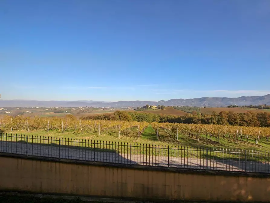 Immagine 26 di Casa colonica in vendita  a Cerreto Guidi