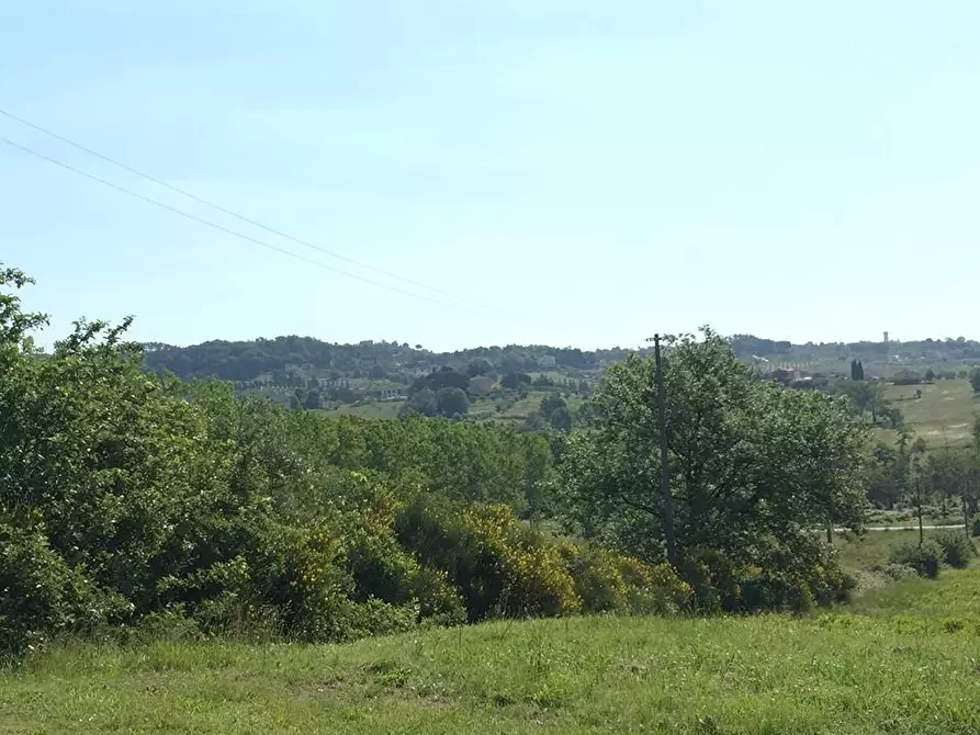 Immagine 2 di Terreno residenziale in vendita  a Porcari