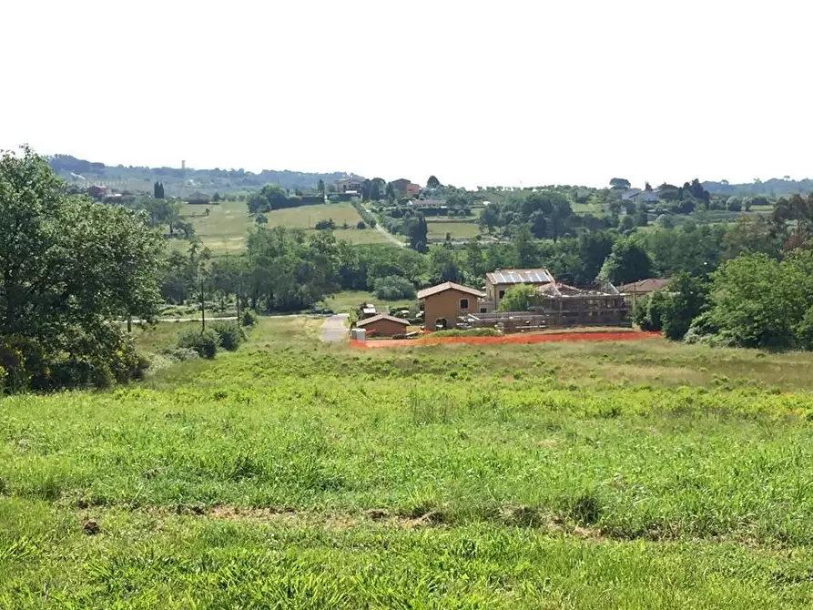 Immagine 4 di Terreno residenziale in vendita  a Porcari