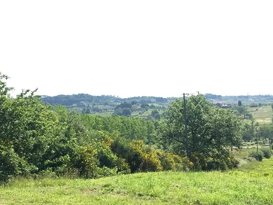 Immagine 3 di Terreno residenziale in vendita  a Porcari
