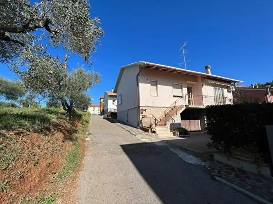 Immagine 1 di Casa indipendente in vendita  a Bibbona