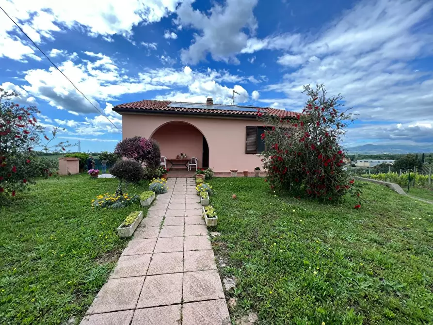 Immagine 1 di Casa colonica in vendita  a Cecina