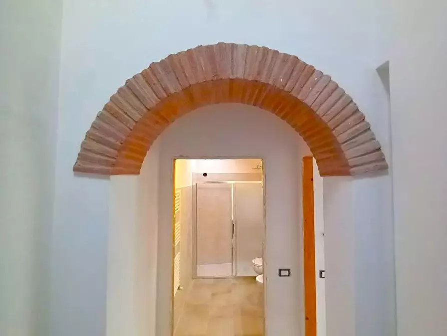 Immagine 9 di Appartamento in vendita  a Vecchiano