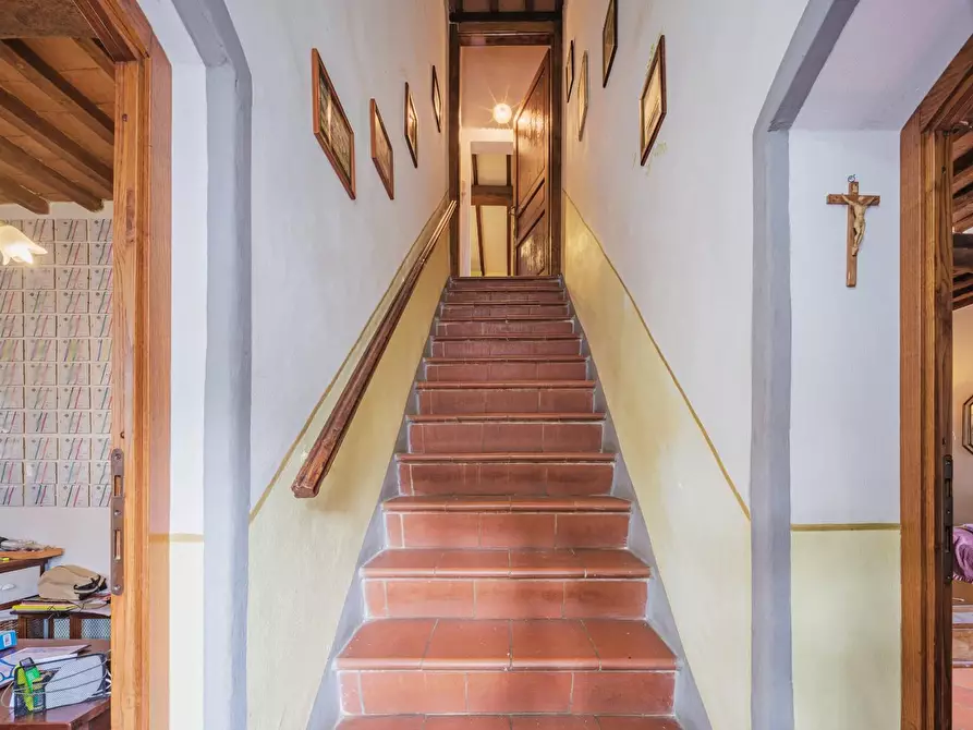 Immagine 19 di Rustico / casale in vendita  a Crespina Lorenzana