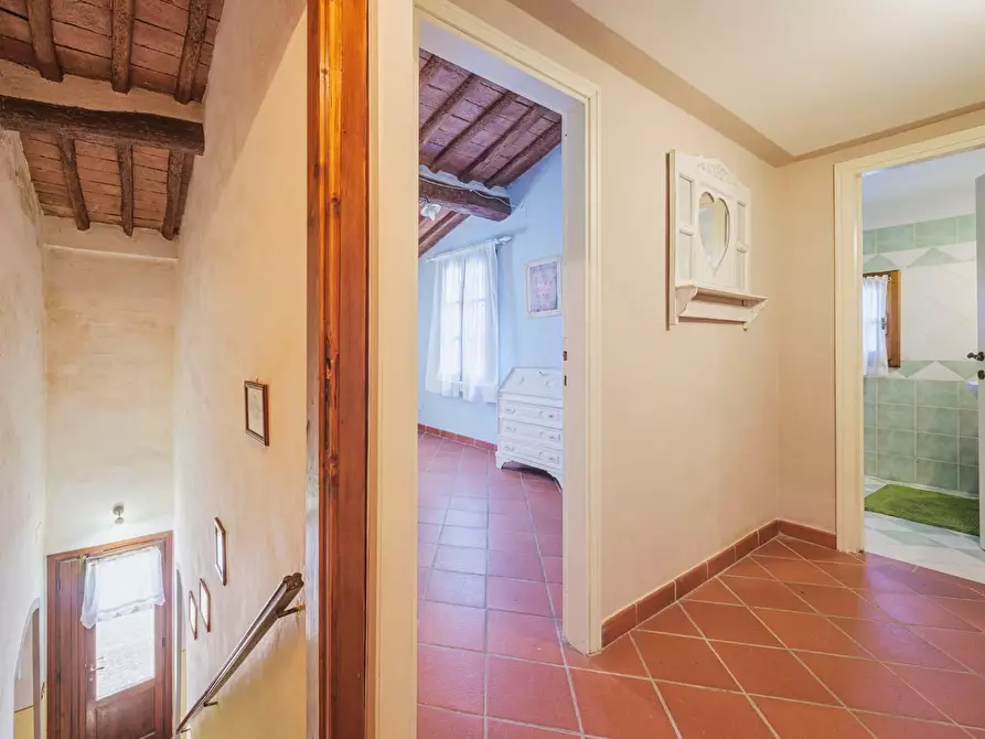 Immagine 20 di Rustico / casale in vendita  a Crespina Lorenzana