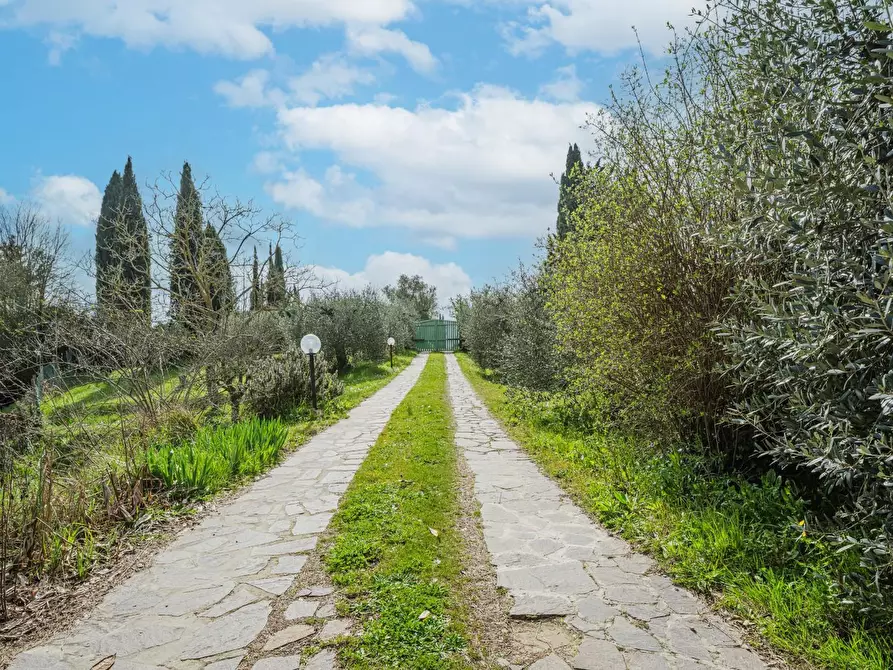 Immagine 32 di Rustico / casale in vendita  a Crespina Lorenzana