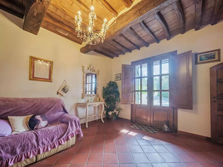 Immagine 8 di Rustico / casale in vendita  a Crespina Lorenzana