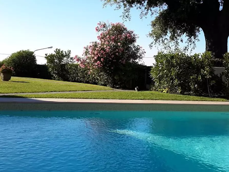 Immagine 15 di Appartamento in vendita  a Terricciola