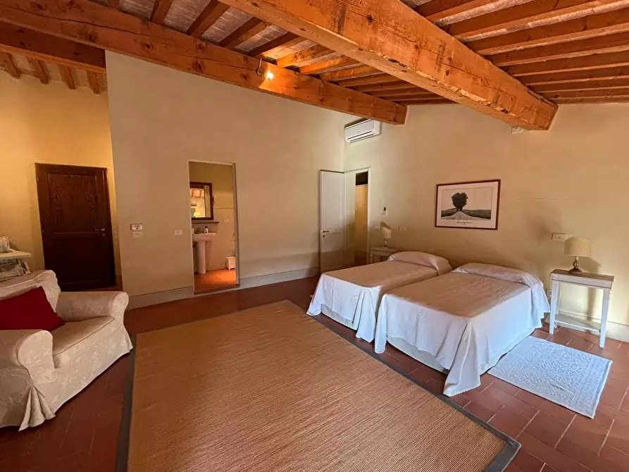 Immagine 3 di Appartamento in vendita  a Terricciola