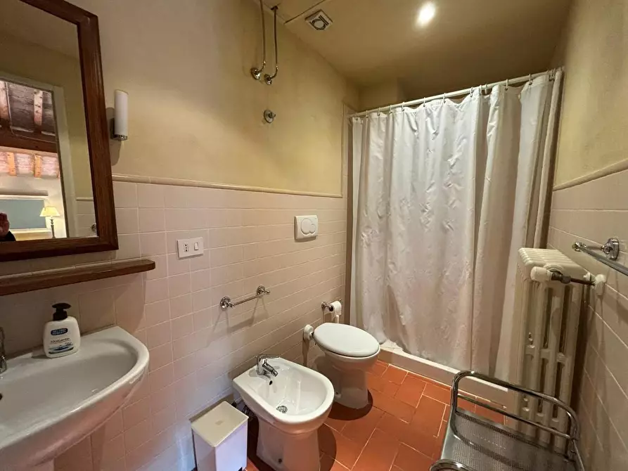 Immagine 11 di Appartamento in vendita  a Terricciola