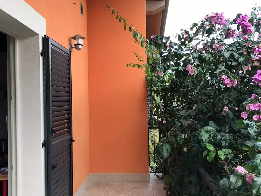 Immagine 3 di Villa in vendita  a Massa