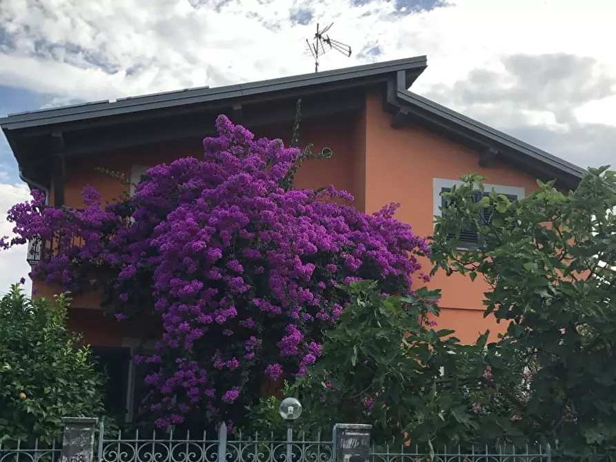 Immagine 53 di Villa in vendita  a Massa