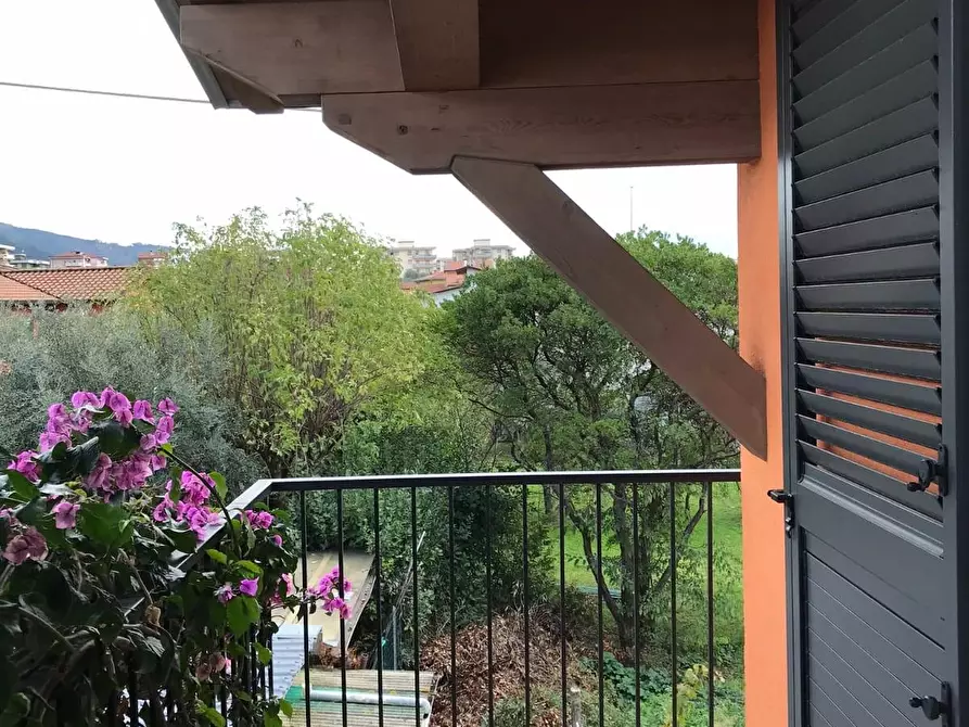 Immagine 2 di Villa in vendita  a Massa