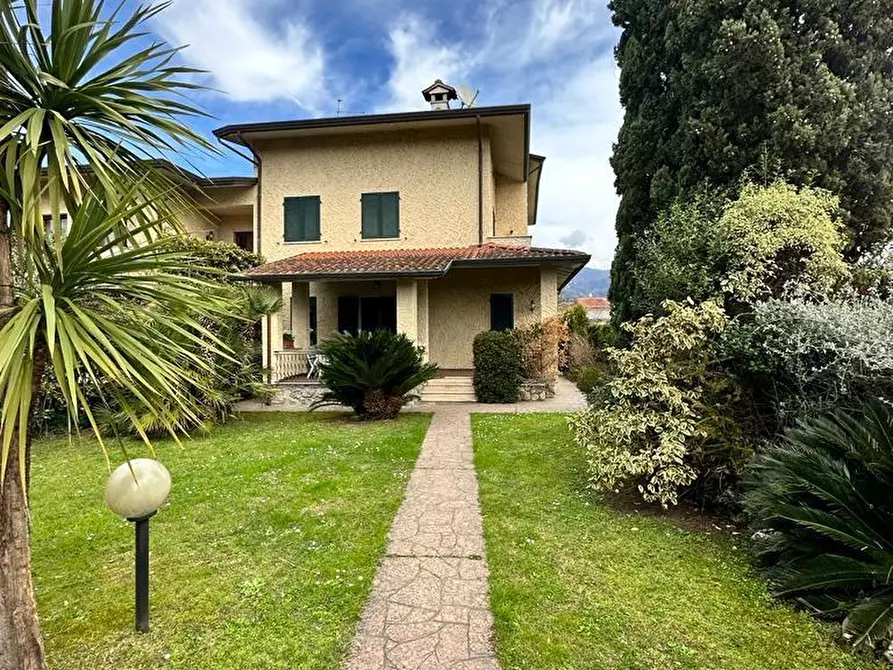 Immagine 1 di Villa in affitto  a Montignoso