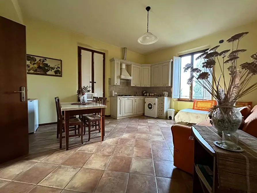 Immagine 18 di Azienda agricola in vendita  a Montecarlo