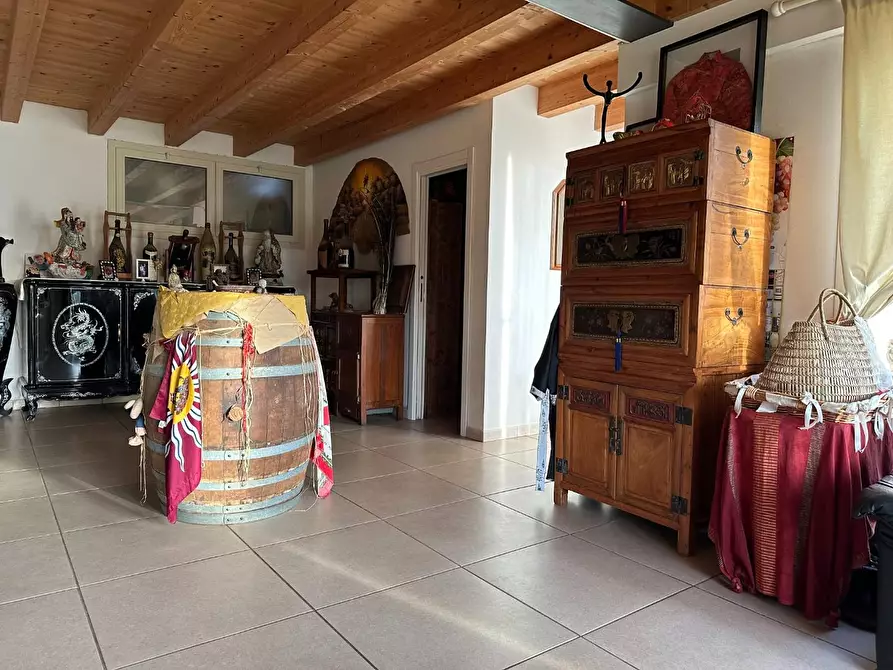 Immagine 36 di Azienda agricola in vendita  a Montecarlo