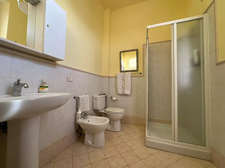 Immagine 13 di Azienda agricola in vendita  a Montecarlo