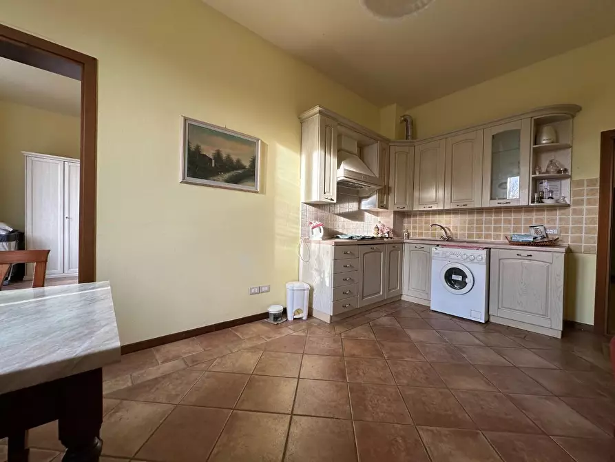 Immagine 11 di Azienda agricola in vendita  a Montecarlo