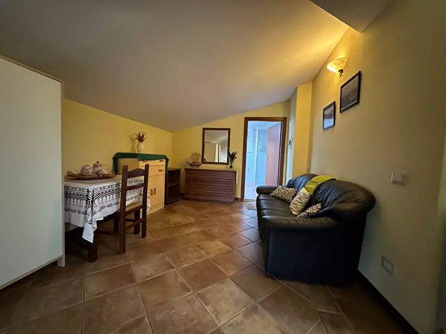 Immagine 29 di Azienda agricola in vendita  a Montecarlo