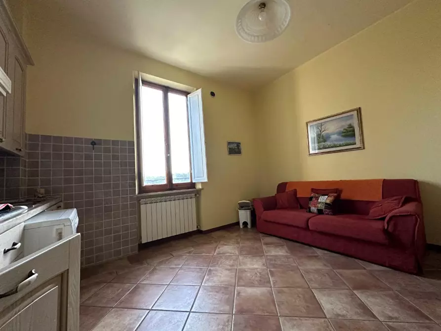 Immagine 26 di Azienda agricola in vendita  a Montecarlo