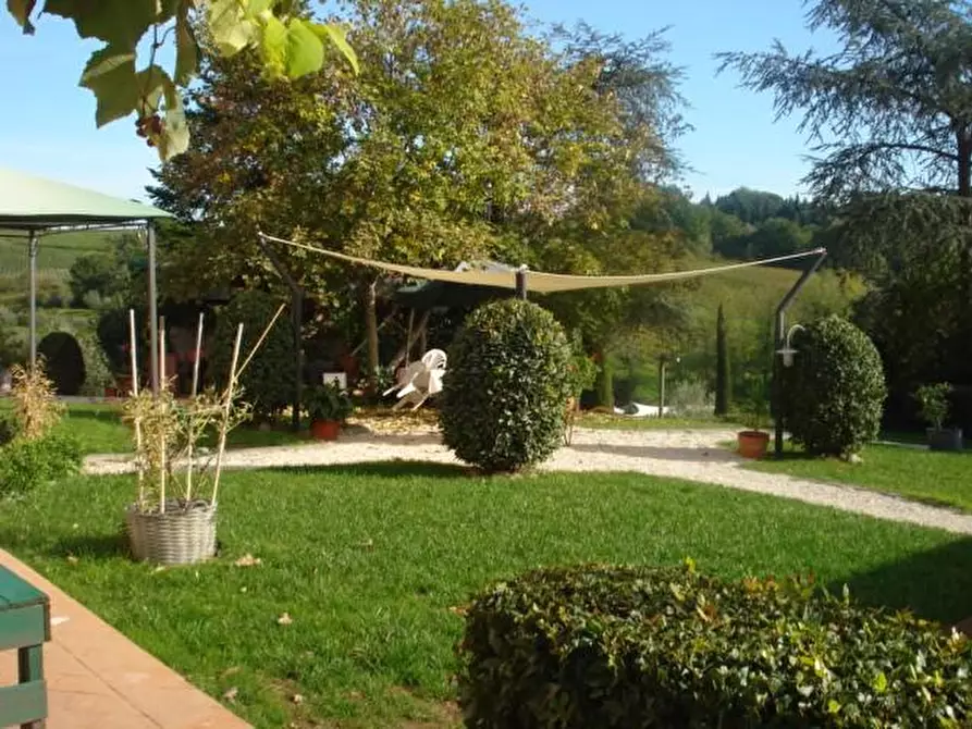 Immagine 9 di Azienda agricola in vendita  a Montecarlo