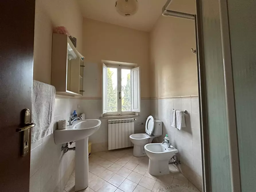 Immagine 23 di Azienda agricola in vendita  a Montecarlo