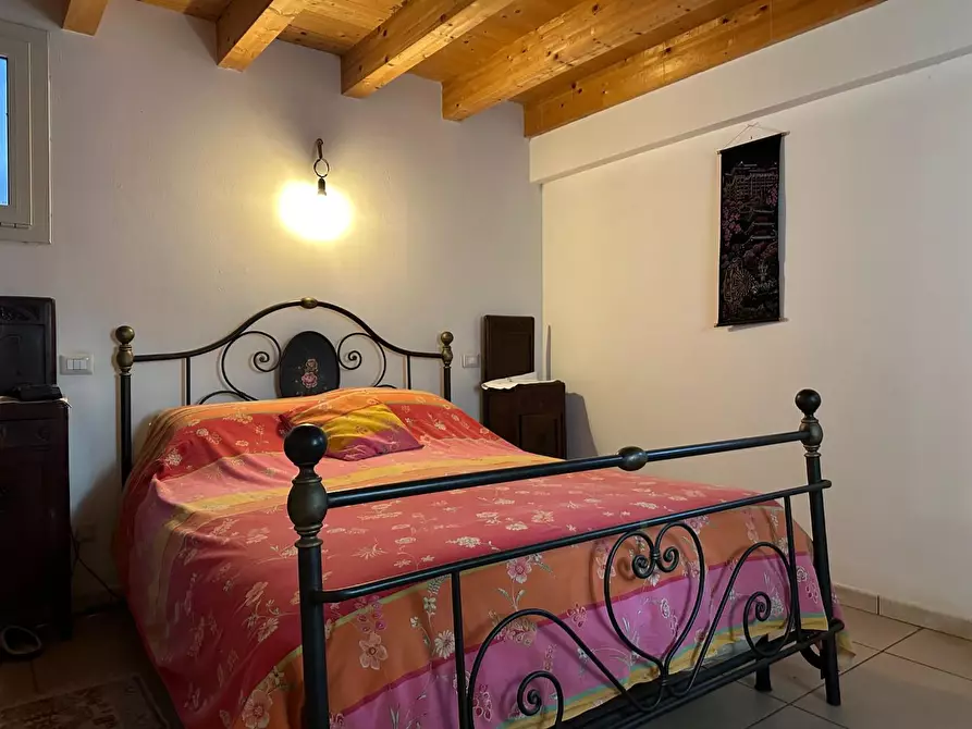 Immagine 38 di Azienda agricola in vendita  a Montecarlo