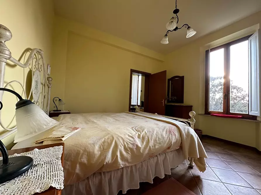 Immagine 21 di Azienda agricola in vendita  a Montecarlo