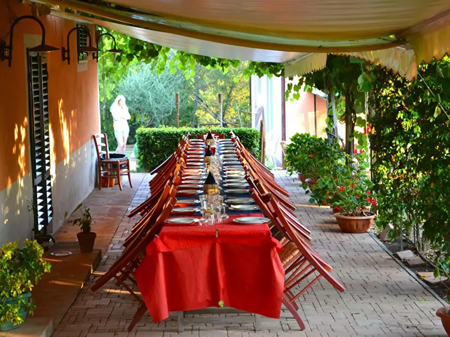 Immagine 43 di Azienda agricola in vendita  a Montecarlo