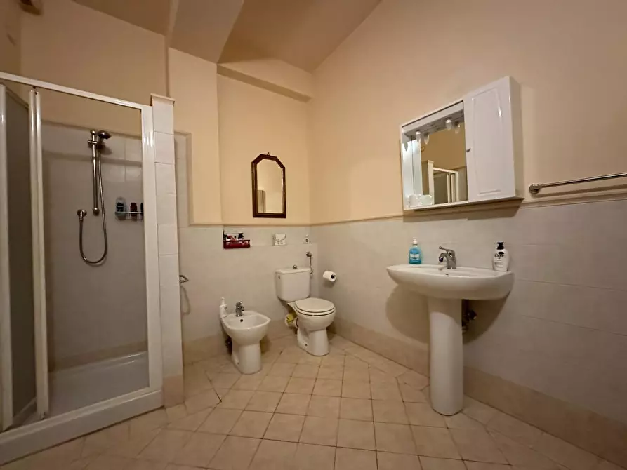 Immagine 19 di Azienda agricola in vendita  a Montecarlo