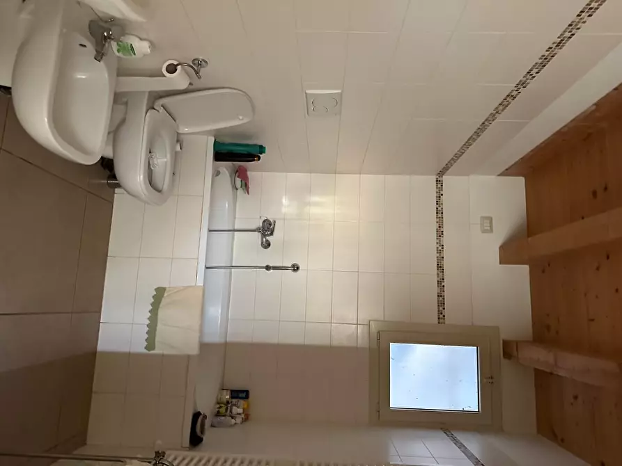 Immagine 37 di Azienda agricola in vendita  a Montecarlo