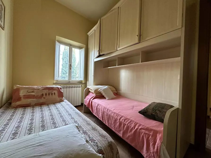 Immagine 22 di Azienda agricola in vendita  a Montecarlo