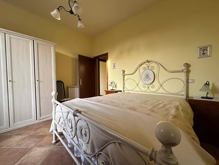 Immagine 14 di Azienda agricola in vendita  a Montecarlo